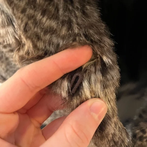 Lamb Vest with Fox Stand Collar and Bottom - Picture 5 of 10